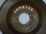 画像: THE ANGELS - 'TIL / 1964 US ORIGINAL 7"SINGLE  