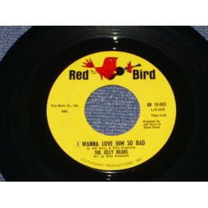 画像: THE JERRY BEANS - I WANNA LOVE HIM SO BAD ( Ex+++ )/ 1964 US ORIGINAL 7" Single  