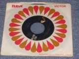 画像: THE ANGELS - I HAD A DREAM I LOST YOU / 1967 US ORIGINAL 7" SINGLE  