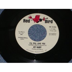 画像: JEFF BARRY - I'LL STILL LOVE YOU / 1965 US Original GRAY Label PROMO 7" Single 