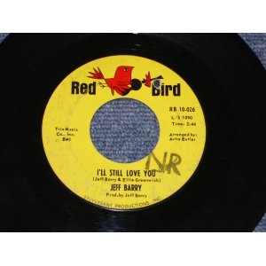 画像: JEFF BARRY - I'LL STILL LOVE YOU ( Ex+/Ex+ )/ 1965 US Original 7" Single  