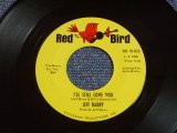 画像: JEFF BARRY - I'LL STILL LOVE YOU / 1965 US ORIGINAL 7" SINGLE  