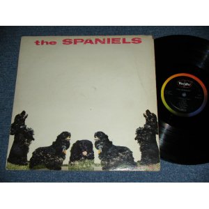 画像: THE SPANIELS - THE SPANIELS / 1960 US ORIGINAL MONO Used  LP  