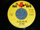 画像: JEFF BARRY - I'LL STILL LOVE YOU ( Ex+/Ex+ ) / 1965 US ORIGINAL 7" SINGLE  