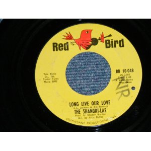 画像: THE SHANGRI-LAS - LONG LIVE OUR LOVE ( Ex/Ex )  / 1966 US ORIGINAL 7" Single  