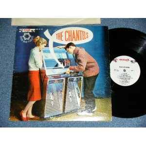 画像: THE CHANTELS -  WE ARE THE CHANTELS .( Ex+/Ex+++ )  / 1965 Release Version US AMERICA ORIGINAL "GRAY Label" MONO Used LP 