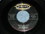 画像: THE RAINDROPS - WHAT A GUY ( 1st Debut Single :Ex++/Ex++) / 1963 US ORIGINAL 7" SINGLE 