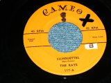 画像: The RAYS - SILHOUETTES: DADDY COOL  ( Ex+/Ex+ : LOOKS: Ex+  )   / 1957 US AMERICA ORIGINAL   Used 7"45rpm Single 