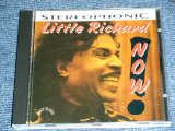 画像: LITTLE RICHARD -  NOW /  1993 HOLLAND Brand New DEAD STOCK CD