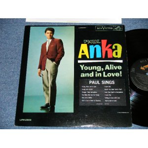 画像: PAUL ANKA - YOUNG, ALIVE AND IN LOVE!  ( with PORTRAIT OF PAUL ANKA on BACK COVER STYLE : Ex+/Ex++ Looks:Ex+   ) /  1962 US AMERICA ORIGINAL UMONO Used LP