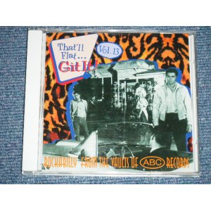 画像: va OMNIBUS - THAT'LL FLAT GIT IT VOL.13 ( MINT-/MINT )  / 2003 GERMAN GERMANY  Used CD 