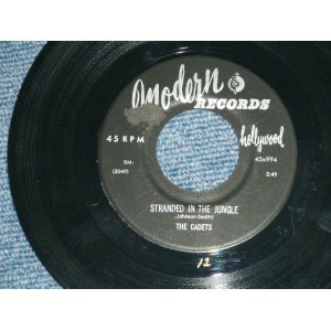 画像: THE CADETS -  STRANDED IN THE JUNGLE : I WANT YOU   ( Ex++/Ex++  ) / 1956 US AMERICA ORIGINAL Used 7" Single 