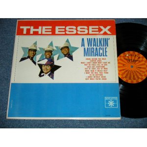 画像: THE ESSEX - A WALKIN' MIRACLE ( Ex+/Ex++ Looks:Ex ) / 1963 US AMERICA ORIGINAL MONO Used LP  