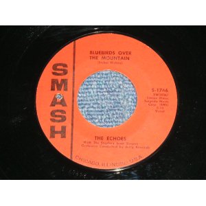 画像: THE ECHOES - BLUEBIRDS OVER THE MOUNTAIN  : A CHICKEN AIN'T NOTHIN' BUT A BIRD ( Ex Looks:Ex+++/ Ex Looks:Ex+++) / 1962 US AMERICA  ORIGINAL Used 7" SINGLE 