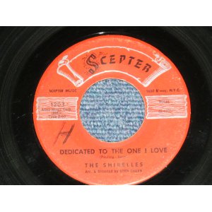 画像: THE SHIRELLES - DEDICATED TO THE ONE I LOVE : LOOK A HERE BABY  ( Ex-/Ex- ) / 1958  US AMERICA  ORIGINAL 1st Press " RED LABEL" Used 7" SINGLE