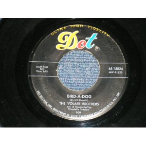 画像: The VOLARE BROTHERS - BIRD-A-DOG ( LIKE A The EVERLY BROTHERS " BIRD DOG" ) : TOY GUITAR ( VG+++/VG+++ ) / 1958 US AMERICA ORIGINAL Used 7" SINGLE 