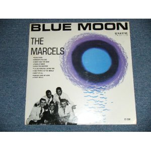 画像: THE MARCELS - BLUE MOON ( SEALED )  /1979 US AMERICA REISSUE "BRAND NEW  SEALED" LP 