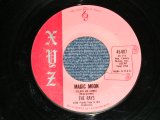 画像: The RAYS -  MAGIC MOON : LOUI HOOHOO   ( Ex-/Ex+ )   / 1960 US AMERICA ORIGINAL   Used 7"45rpm Single 