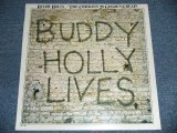 画像: BUDDY HOLLY - 20 GREATESAT GREATS : BUDDY HOLLY LIVE  ( SEALED ) / 1980's US America REISSUE  "BRAND NEW SEALED"  LP