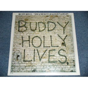 画像: BUDDY HOLLY - 20 GREATESAT GREATS : BUDDY HOLLY LIVE  ( SEALED ) / 1980's US America REISSUE  "BRAND NEW SEALED"  LP