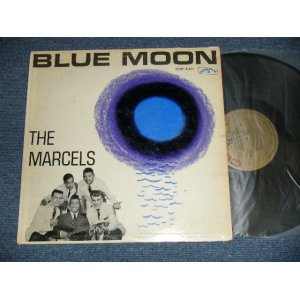 画像: THE MARCELS - BLUE MOON (Ex/Ex- Looks:VG+++ EDSP ) / 1961 US AMERICAORIGINAL 1st Press "GOLD Label" MONO Used LP 