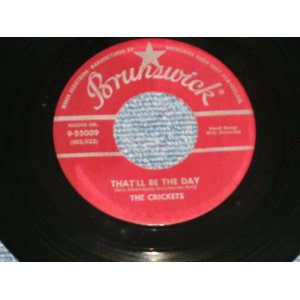 画像: THE CRICKETS ( BUDDY HOLLY ) - THAT'LL BE THE DAY :I'M LOOKING FORSOMEONE TO LOVE (Ex+++/Ex+++ ) / 1957 USAMERICA  Original Used 7" Single  