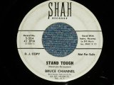 画像: BRUCE CHANNEL - STAND TOUGH : COURT OF LOVE (Ex++/Ex++ WOL)   / 1964 US AMERICA ORIGINAL "WHITE LABEL PROMO" Used 7" SINGLE 