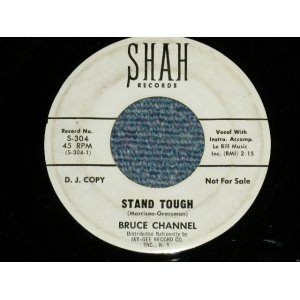 画像: BRUCE CHANNEL - STAND TOUGH : COURT OF LOVE (Ex++/Ex++ WOL)   / 1964 US AMERICA ORIGINAL "WHITE LABEL PROMO" Used 7" SINGLE 