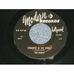 画像: THE CADETS -  STRANDED IN THE JUNGLE : I WANT YOU   ( Ex+++/Ex+++  ) / 1956 US AMERICA ORIGINAL Used 7" Single 