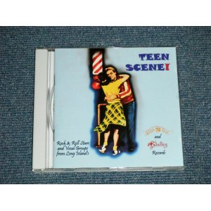 画像: V.A.Various OMNIBUS - TEEN-SCENE V! (MINT-MINT) / 2002 GERMAN GERMANY ORIGINAL Used  CD 