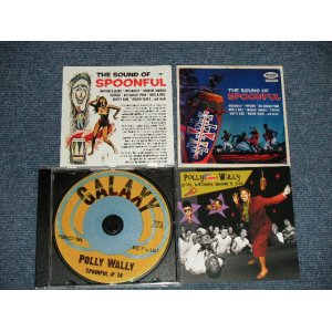 画像: V.A.  - POLLY WALLY SPOONFUL #74 (MINT-/MINT) / GERMAN?  Used CD 