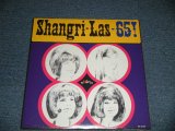 画像: THE SHANGRI-LAS - SHANGRI-LAS  '65 (SEALED) / US AMERICA REISSUE ”Brand New SEALED” LP  