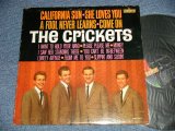 画像: The CRICKETS - CALIFORNIA SUN/SHE LOVES YOU  (Ex+/Ex+++ A-1:Ex ) /  1964 US AMERICA ORIGINAL  MONO  Used  LP