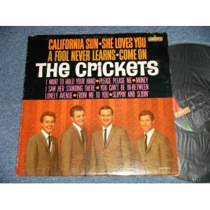 画像: The CRICKETS - CALIFORNIA SUN/SHE LOVES YOU  (Ex+/Ex+++ A-1:Ex ) /  1964 US AMERICA ORIGINAL  MONO  Used  LP
