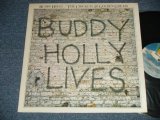画像: BUDDY HOLLY and THE CRICKETS - 20 GOLDEN GREATS :  BUDDY HOLLY LIVE  (Ex++/MINT-)   / 1978 US AMERICA ORIGINAL  Used LP 