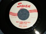 画像: FREDDY CANNON - A) What's Gonna Happen When Summer's Done  B) BROADWAY (Ex/+++Ex+++) / 1962 US AMERICA ORIGINAL Used 7" Single 