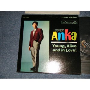 画像: PAUL ANKA - YOUNG, ALIVE AND IN LOVE! (with PORTRAIT OF PAUL ANKA on BACK COVER STYLE) (Ex++/Ex+++) /1962 US AMERICA ORIGINAL 2nd Press Jacket  MONO Used LP