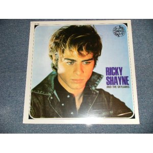 画像: RICKY SHAYNE - RICKY SHAYNE (SEALED) / 1989 ITALY REISSUE "BRAND NEW SEALED" LP