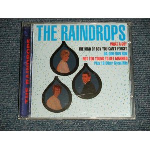 画像: THE RAINDROPS - THE RAINDROPS (MINT/MINT : SEALED) / 1999 US AMERICA ORIGINAL Used CD