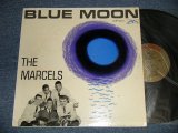 画像: THE MARCELS - BLUE MOON (Ex++,Ex/Ex ) / 1961 US AMERICAORIGINAL 1st Press "GOLD Label" MONO Used LP 