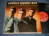 画像: THE DOVELLS -  BIGGEST HITS (Ex++/Ex++) / 1964 US AMERICA ORIGINAL MONO Used  LP 