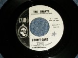 画像: The CHANTS - A) I DON'T CARE    B) COME GO WITH ME (Ex+/Ex+ STPOL) / 1638 US AMERICA ORIGINAL "WHITE LABEL PROMO"  Used 7" 45rpm  Single 