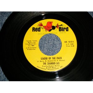 画像: THE SHANGRI-LAS - LEADER OF THE PACK (Ex/Ex CRACK ひび割れ, STPOL)  / 1964 US AMERICA ORIGINAL Used 7" Single  