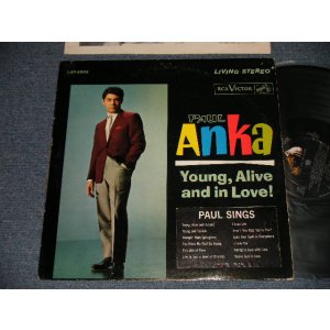 画像: PAUL ANKA - YOUNG, ALIVE AND IN LOVE! (with PORTRAIT OF PAUL ANKA on BACK COVER STYLE) (With HYPE / TITLE SEAL on FRONT COVER) (With CUSTOM INNER SLEEVE)  (Ex+/Ex+ EDSP) /1962 US AMERICA ORIGINAL 2nd Press Jacket  STEREO Used LP