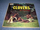 画像: THE CLOVERS - THE CLOVERS IN CLOVER / 1959 MONO WHITE LABEL PROMO US ORIGINAL LP