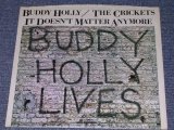 画像: BUDDY HOLLY/CRICKETS - IT DOESN'T MATTER ANYMORE ( Promo Only Same Flip : ST / ST ) / 1978 US Reissue 7" Single With PICTURE SLEEVE 