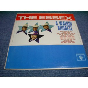 画像: THE ESSEX - A WALKIN' MIRACLE (Ex+/Ex++) / 1963 US AMERICA ORIGINAL MONO Used LP  