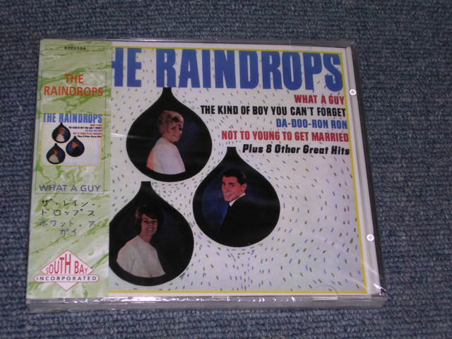 画像1: THE RAINDROPS - WHAT A GUY / 1994 ?? SEALED CD  