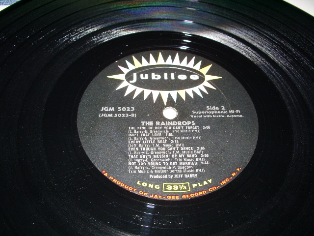 画像: THE RAINDROPS - THE RAINDROPS (MINT-/MINT) / 1985 US AMERICA REISSUE Used LP