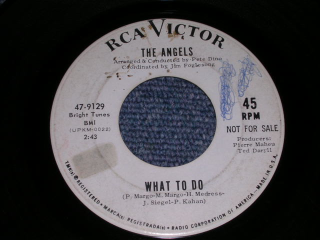 画像: THE ANGELS - I HAD A DREAM LOST YOU / 1967 US ORIGINAL White Label Promo 7" Single